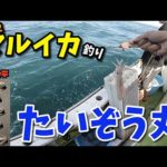 2022 マルイカ釣りinたいぞう丸　#マルイカ釣り #ネオンスペシャル #たいぞう丸