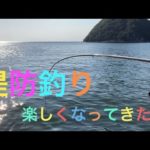 沼津堤防釣り　浮きフカセ