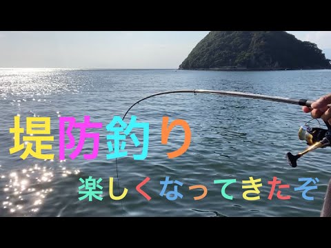 沼津堤防釣り　浮きフカセ