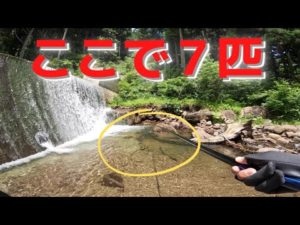 【渓流釣り新仕掛け考案】提灯ウキ毛鉤釣りでヤマメが爆釣するのだ!!! (餌不使用、初心者向け、 Unusual Keiryu Tenkara Fly Fishing)