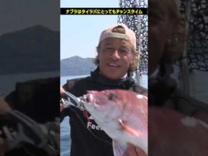 【タイラバ】釣りするときに覚えておきたいこと【中井一誠】