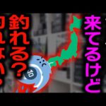 【村田基】台風来てるけど魚は釣れる？村田さんの台風前後のバス釣りに関する発言まとめ【村田基切り抜き/釣り/バス釣り/霞ヶ浦/台風/大雨/低気圧/濁り】