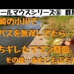 【川スモールマウスバス釣り　シリーズ⑯　群馬編】高崎の小川で子バスを無双してたら、ママンにぶちギレられた動画