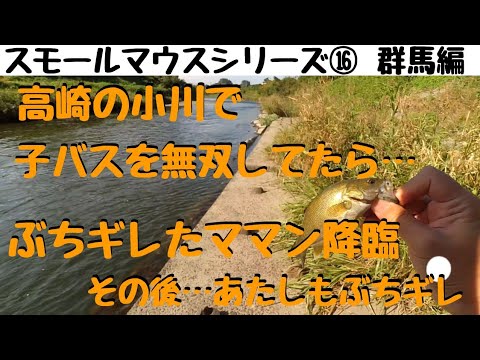 【川スモールマウスバス釣り　シリーズ⑯　群馬編】高崎の小川で子バスを無双してたら、ママンにぶちギレられた動画