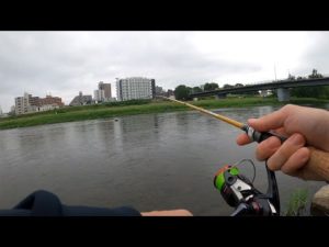 多摩川アングラーが北海道で釣りをすると？