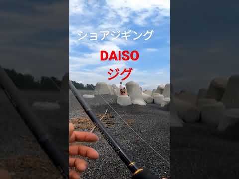 [釣り] #静岡サーフ #DAISOジグ　#ショアジギング　#釣り  #shorejigging #Pescanojapao　#shortsfeed 　　