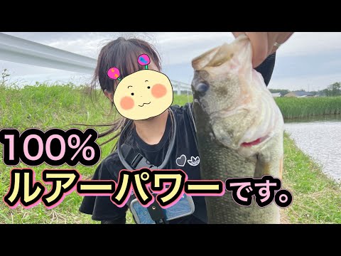 【バス釣り】それでもバスはここに居る。【八郎潟】#14