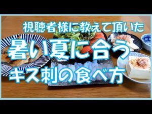 【キス投げ釣り】これは旨い！夏に合うキス刺身の食べ方！