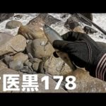 ビッグベイトでヒラスズキを釣りたい