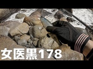 ビッグベイトでヒラスズキを釣りたい