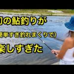 【鮎釣り】鮎の餌釣りが簡単すぎ釣れすぎで楽しすぎたin木戸川 楢葉町