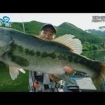 【釣り百景】#442  初夏の奈良県・七色ダム 大型のブラックバスを狙う！