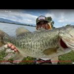 琵琶湖バス釣りライブR４-7/6（ツレチョ！）