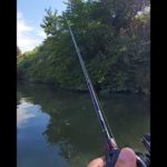 【バラシ名人②】🧒💧#バス釣り #bassfishing #ピッチング #ベイトリール #ベイトタックル #テキサスリグ #アルミボート #shorts