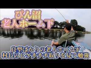 老人ホーム下でへらぶな釣り！型が全体的にとっても良いです！！両団子合わせるのは難しいが楽しい！！村長のヒゲチチチ合わせ見れて感動！！【埼玉県さいたま市、富士見市びん沼川】