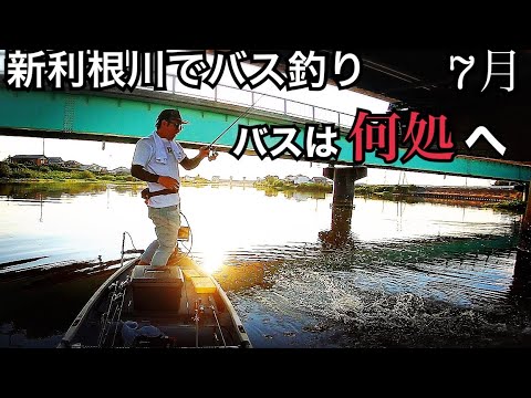 【７月】初の新利根川でバス探し【バス釣り】