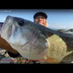 琵琶湖バス釣りライブR４-7/7（ツレチョ！）