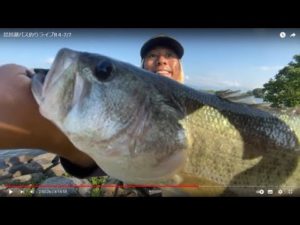 琵琶湖バス釣りライブR４-7/7（ツレチョ！）