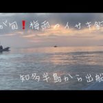 愛知県！イサキ釣り！