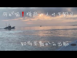 愛知県！イサキ釣り！