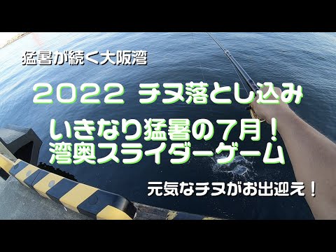 #TEAM波止歩っ歩 ２０２２ チヌ落とし込み・ヘチ釣り ７月最初の湾奥スライダーゲーム