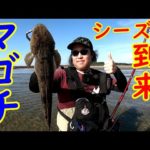 ルアー釣りにてマゴチが釣れる時期になってきました【茨城県久慈川河口】