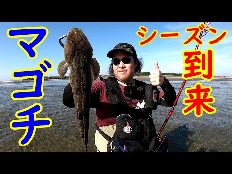 ルアー釣りにてマゴチが釣れる時期になってきました【茨城県久慈川河口】