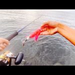 これは釣れ過ぎ注意です。