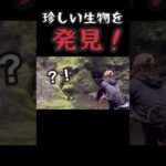 釣りガールが渓流で予想外の生物に遭遇した時 |  リアクション #shorts