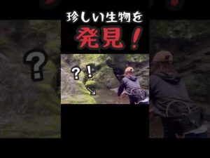 釣りガールが渓流で予想外の生物に遭遇した時 |  リアクション #shorts