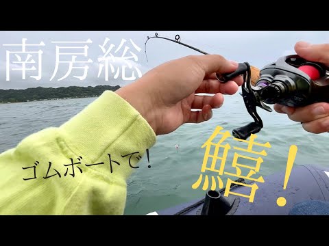 【南房総】アンタレスDCとスティーズCTを使ったキス釣り【ゴムボート釣行Vol.3】
