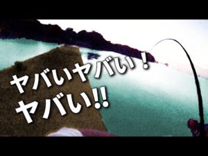 海に突き刺さる竿、悲鳴をあげるリール。普通の堤防に潜むヌシを仕留めました。