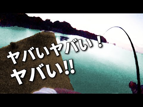 海に突き刺さる竿、悲鳴をあげるリール。普通の堤防に潜むヌシを仕留めました。