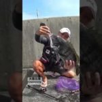 【ヘチ釣り】楽しみ方は人それぞれ#shorts