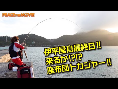PEACE THE MOVIE #103「釣りたい釣りたい！座布団トカジャー！」九州地方・沖縄県伊平屋島の旅(後編)/平和卓也(1209)