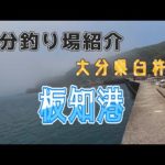 まだギリギリ釣り出来る！？板知港　大分県臼杵市