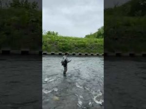 北海道の鱒釣り　DIRT BAG fishing channel