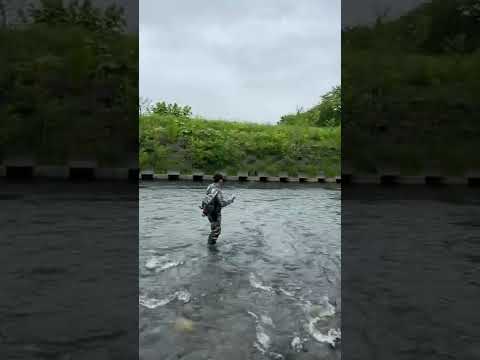 北海道の鱒釣り　DIRT BAG fishing channel
