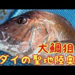 真鯛ゲーム テンヤ釣りに目覚めたペーパードライバーが大鯛を釣りに行くの巻き 青森県 陸奥湾