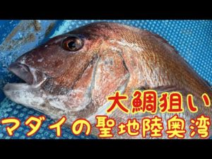 真鯛ゲーム テンヤ釣りに目覚めたペーパードライバーが大鯛を釣りに行くの巻き 青森県 陸奥湾