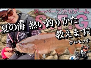 【夏の海 熱い釣りかた 教えます。】スーパーフカセゲーム S・F・G