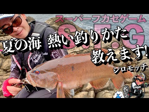 【夏の海　熱い釣りかた　教えます。】スーパーフカセゲーム　S・F・G
