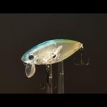 レンジを刻む、左右に泳ぐ、巻きまくるルアーです【バス釣り】