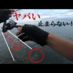 2本竿でショアジギングとアジングどっちもやってみた！！#新潟釣り #ライトショアジギング #アジング