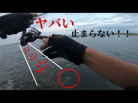 2本竿でショアジギングとアジングどっちもやってみた！！#新潟釣り #ライトショアジギング #アジング