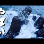 いつも通りに釣りに行くと…