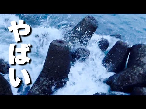 いつも通りに釣りに行くと…