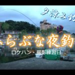 琵琶湖の港でヘラブナ夜釣り（下見・練習日）下野流BASIC