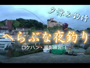 琵琶湖の港でヘラブナ夜釣り（下見・練習日）下野流BASIC