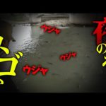 【もはや裏技？】夜がもっとヤバイ…噂検証で新たな発見が…